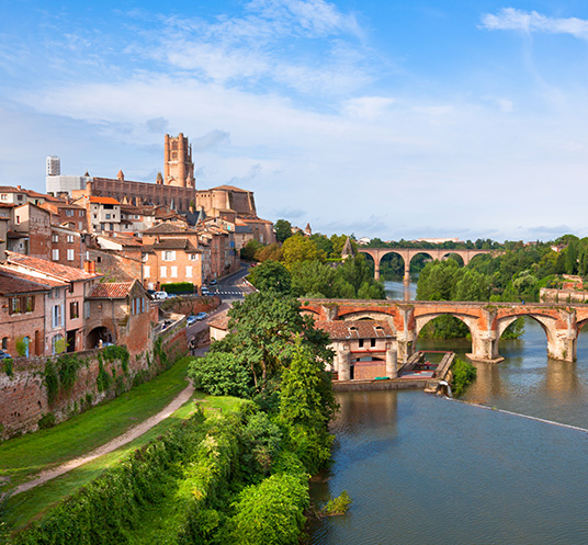 toulouse_pinel